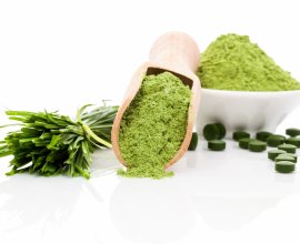 Białka alg - kilka faktów o chlorelli i spirulinie