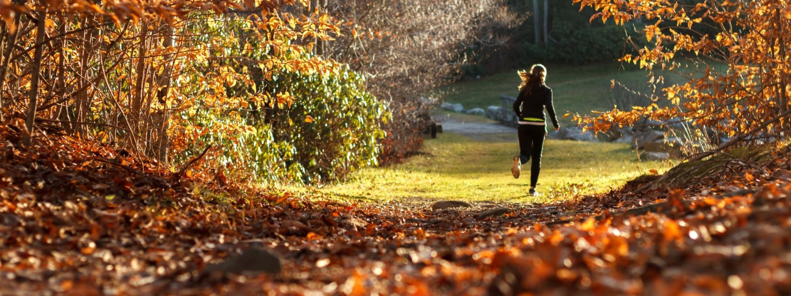 Kilka wskazówek dotyczących biegania w okresie jesienno-zimowym